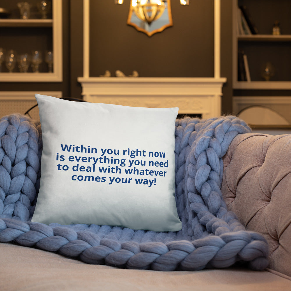 Diabetic Warrior Pillow.. Within in you right now... (quote on back) - ThisDiabetic.com