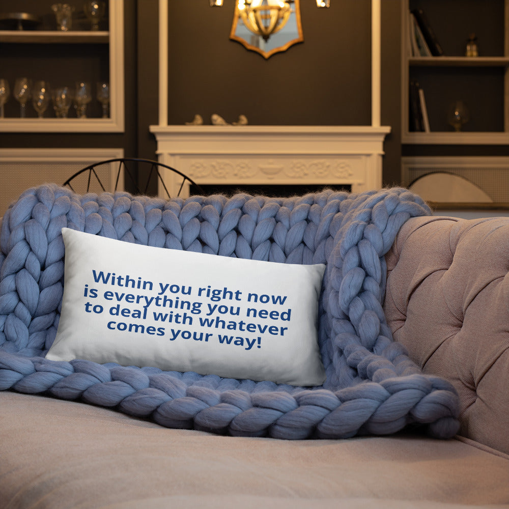 Diabetic Warrior Pillow.. Within in you right now... (quote on back) - ThisDiabetic.com